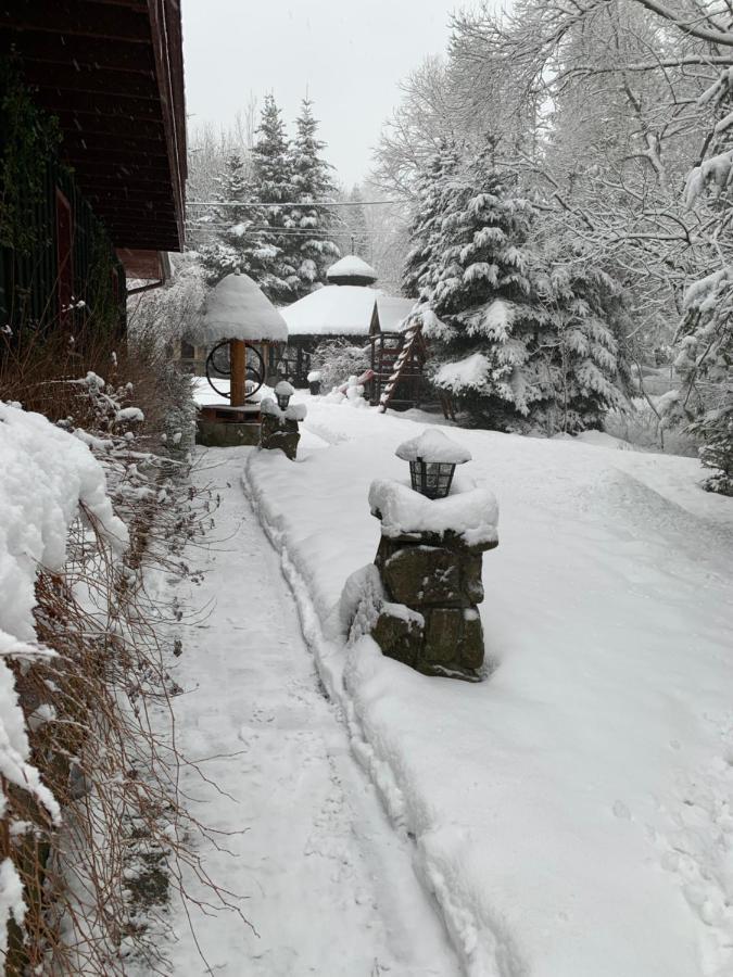 Gosciniec Pod Smrekami Bed and Breakfast Czorsztyn Exteriör bild